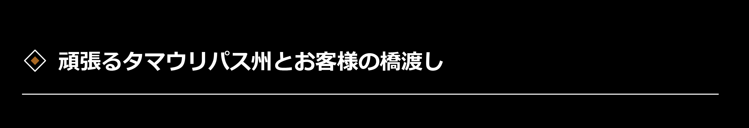 頑張るタマウリパス州とお客様の橋渡し